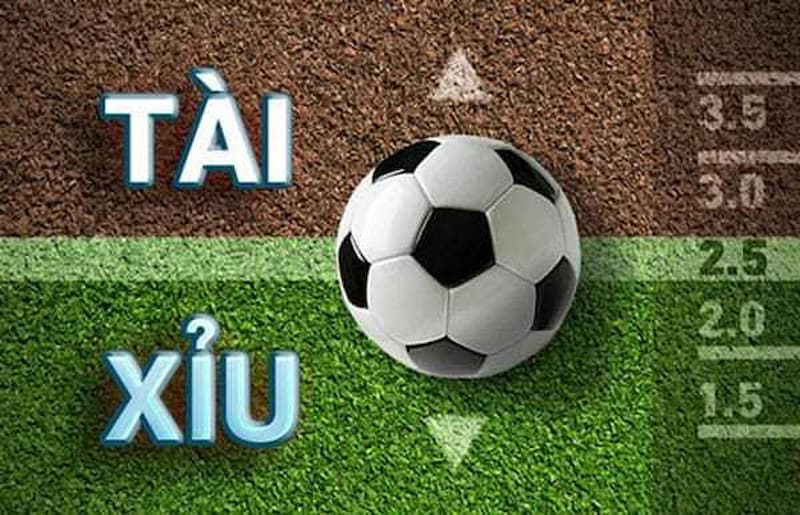 Tài Xỉu là gì?